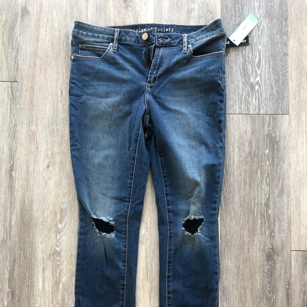 Articles of Society Jeans